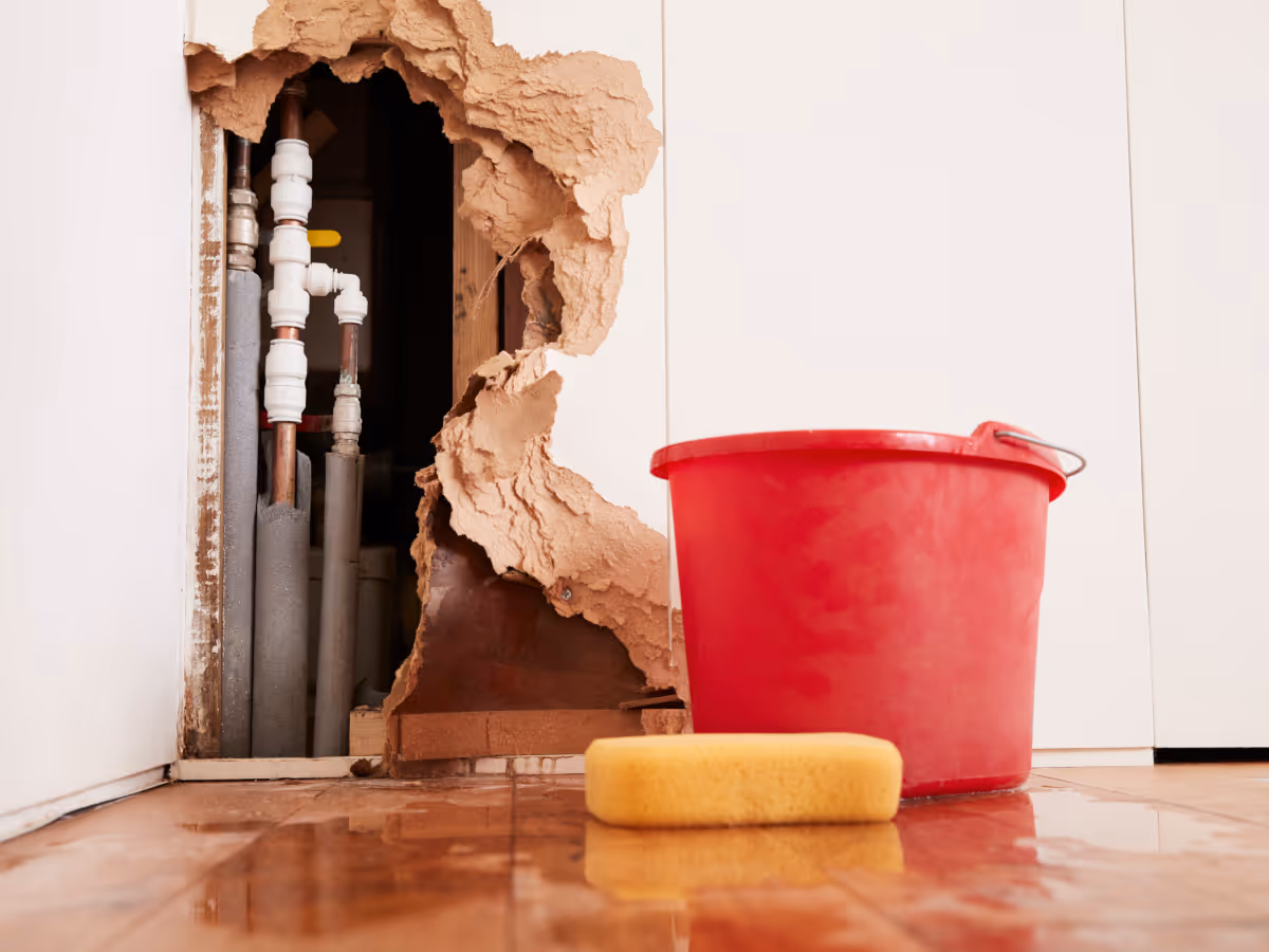 Basement plumbing leak causing water damage behind wall with exposed pipes