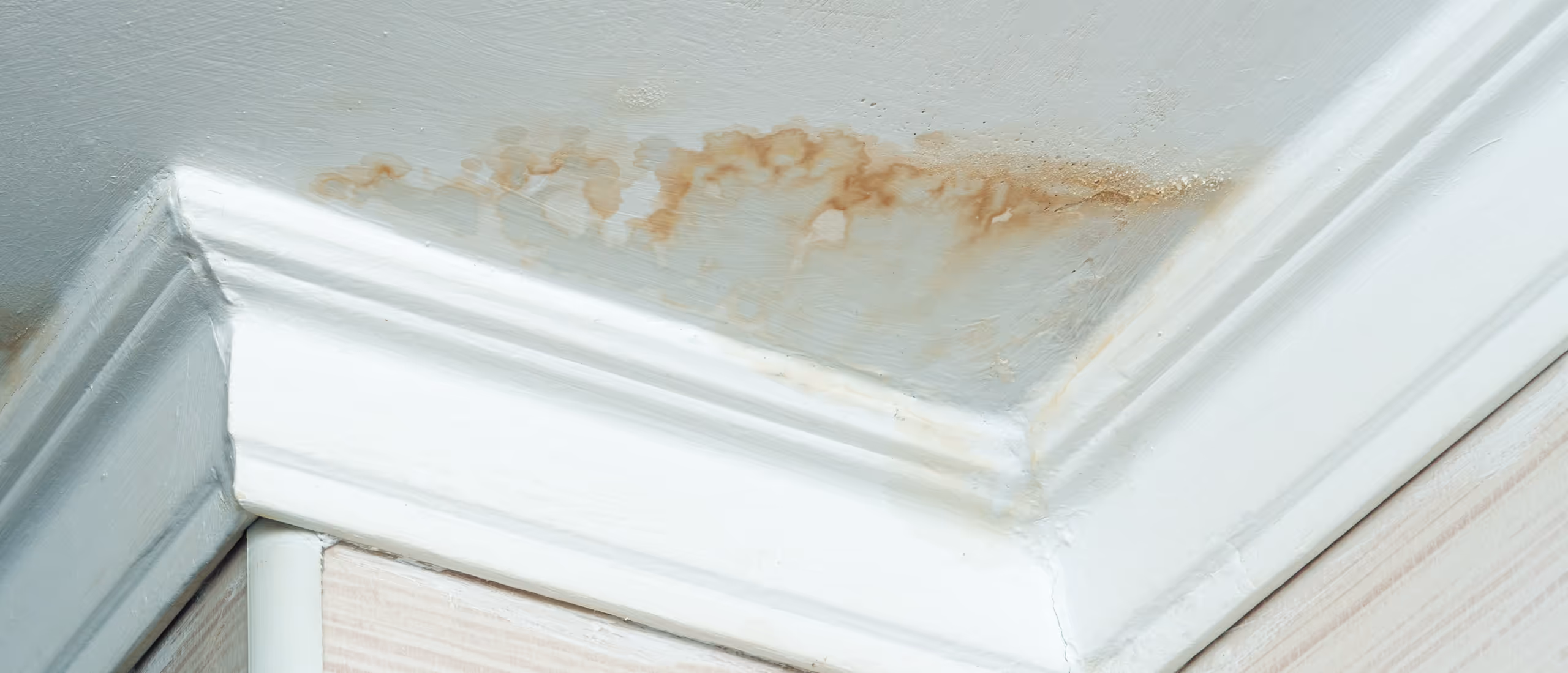 Basement ceiling water damage with stains on drywall caused by plumbing leak